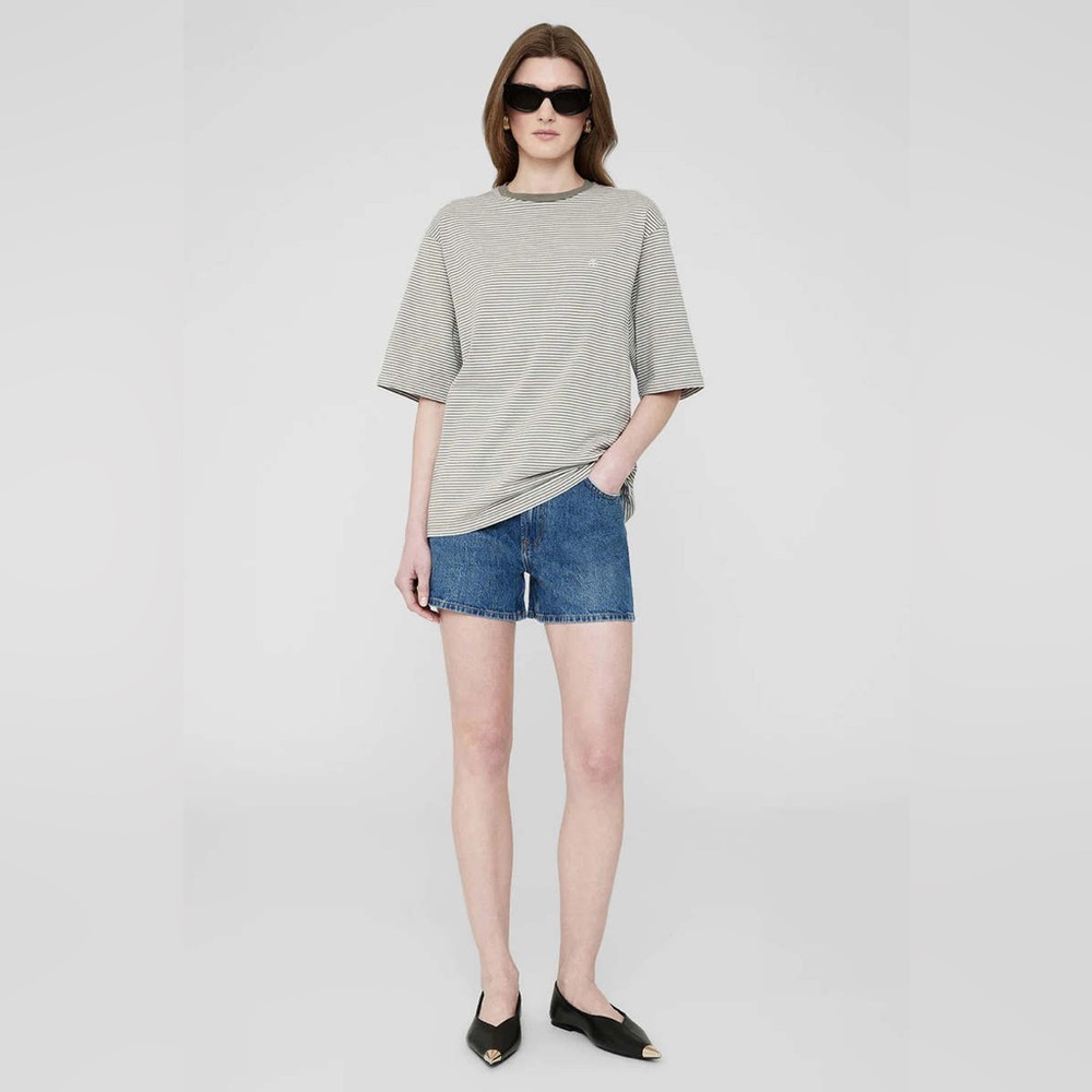 Anine Bing Bo Stripe T-Shirt - Green